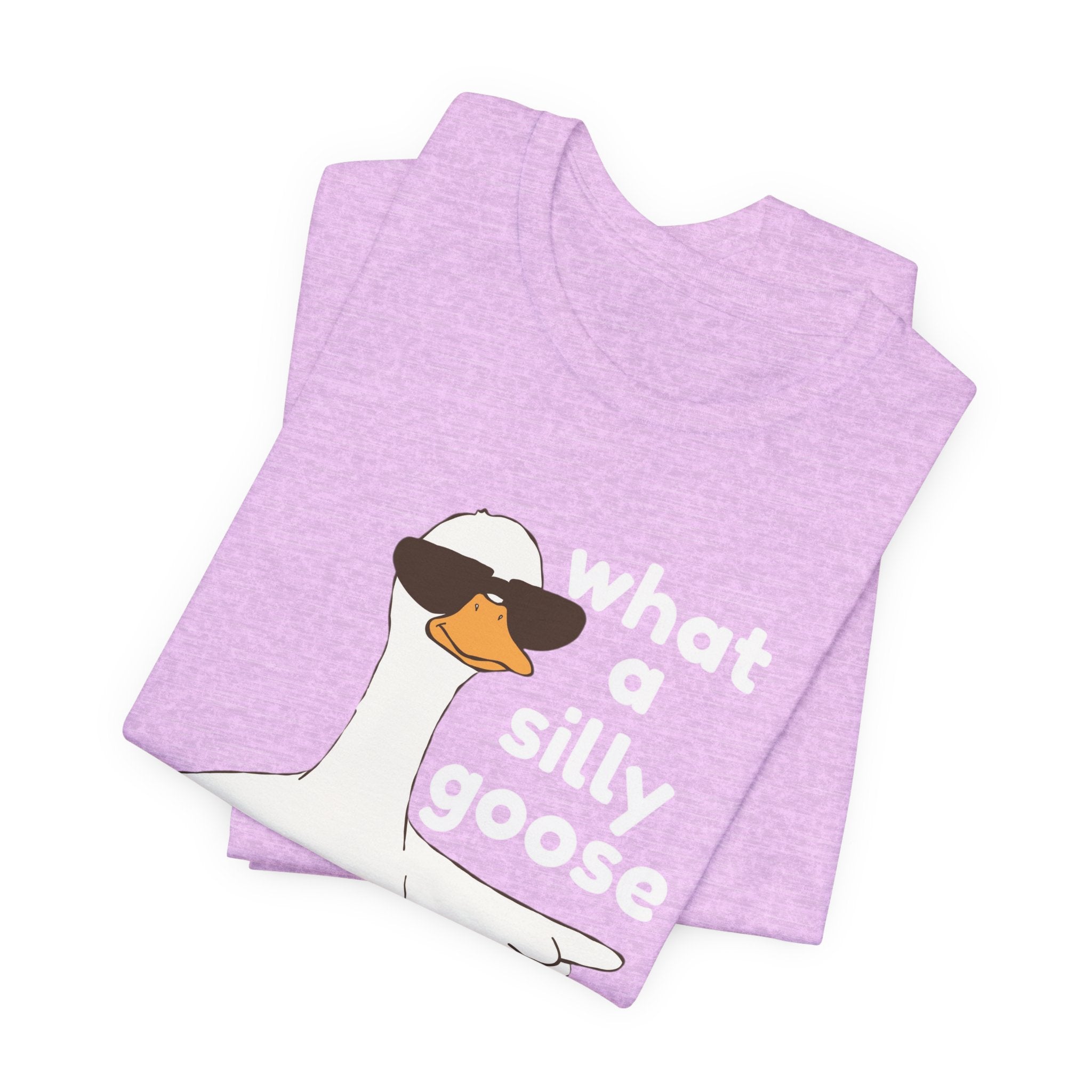 What a Silly Goose T-Shirt — Funny Cartoon Goose Tee for Animal Lovers