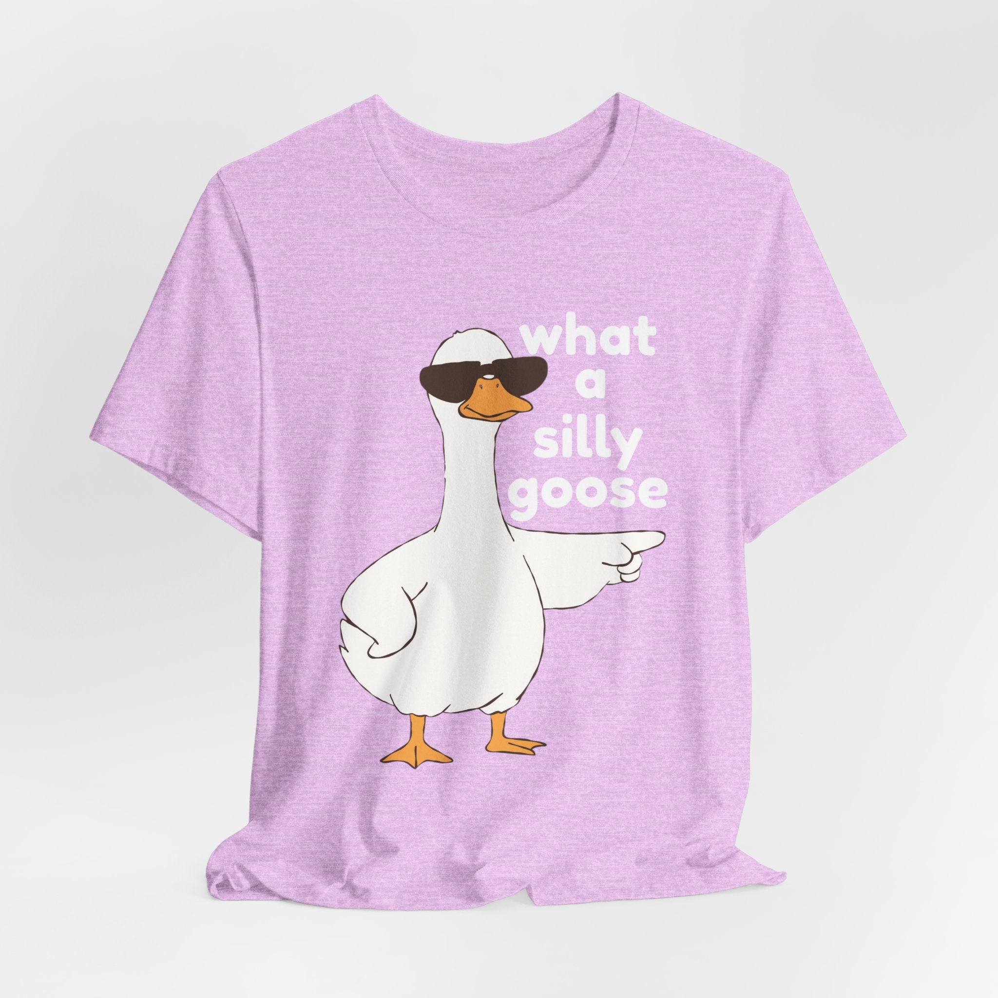 What a Silly Goose T-Shirt — Funny Cartoon Goose Tee for Animal Lovers