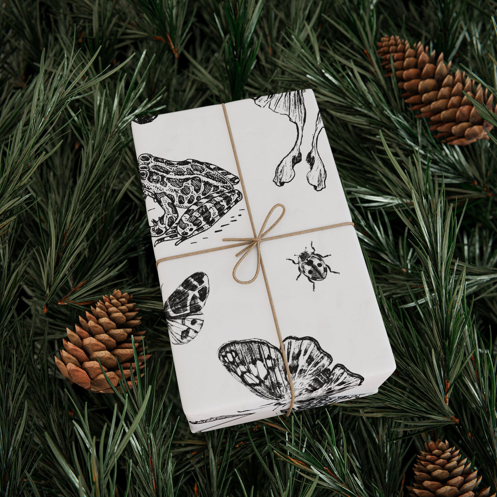 Butterfly & Moth Wrapping Paper – Black Botanical Sketches