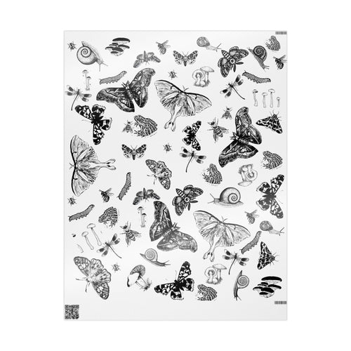 Butterfly & Moth Wrapping Paper – Black Botanical Sketches