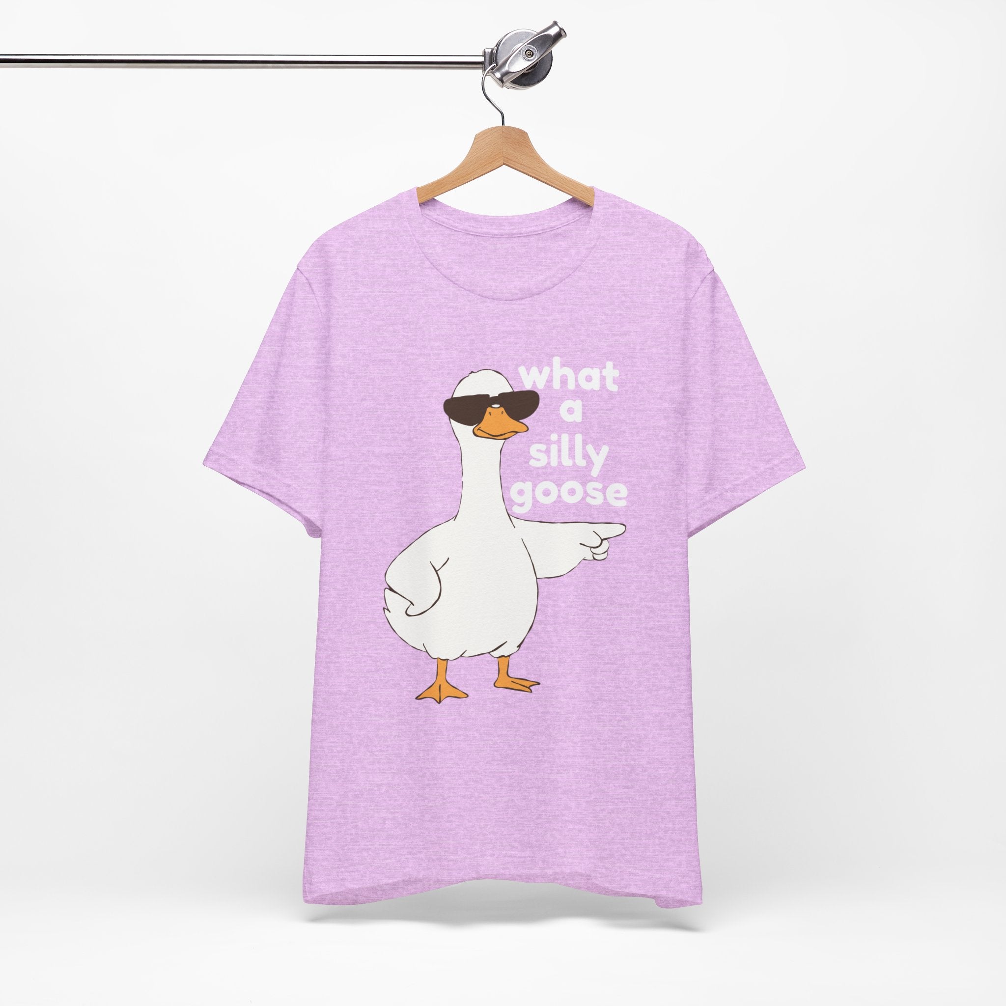 What a Silly Goose T-Shirt — Funny Cartoon Goose Tee for Animal Lovers